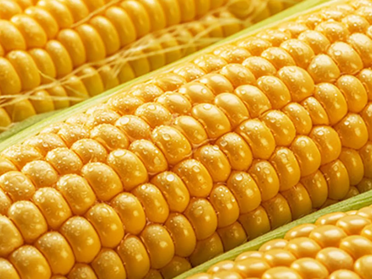 Corn