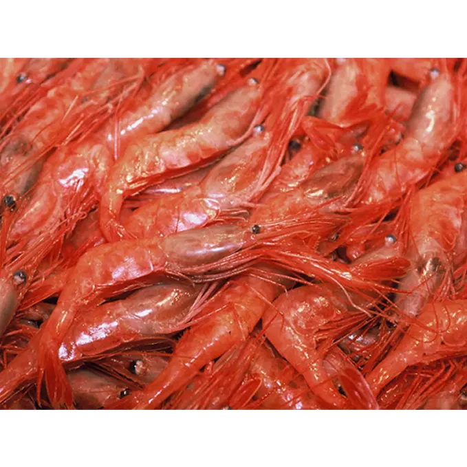 Prawns